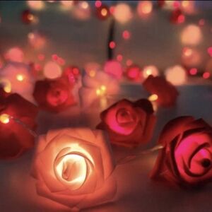 New LED Red Roses String Lights